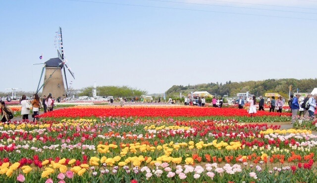 千葉県の観光地のイメージ画像