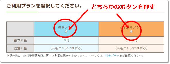 あしたでんきの申し込み画面のイメージ画像3
