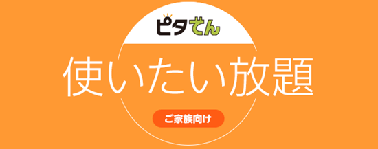 ピタでん使いたい放題プランイメージ画像