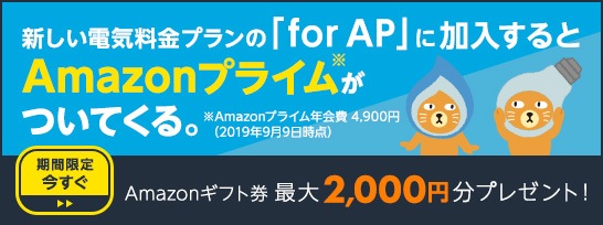 中部電力Amazonプライム付きプラン限定キャンペーンの案内画像