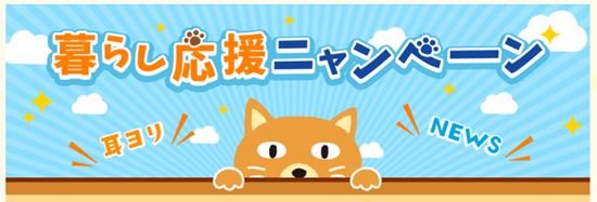 中部電力キャンペーン「暮らし応援ニャンペーン」イメージ