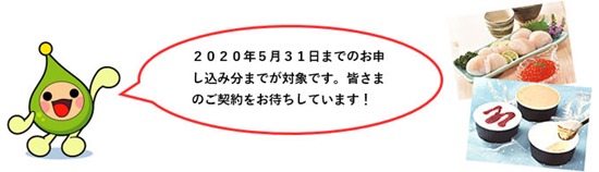 北海道電力キャンペーン