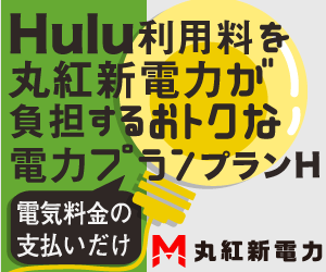 丸紅新電力プランH