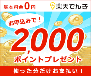楽天でんき