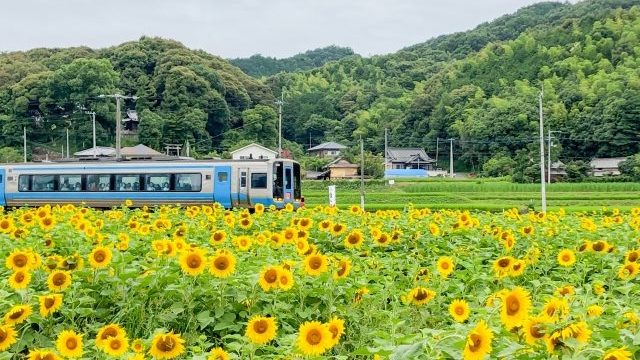 完全版 四国地方おすすめ電力会社 生活スタイル上級編 新電力比較npcプラン