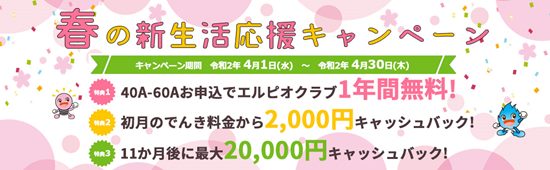 エルピオでんきキャンペーンイメージ画像