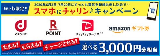 東京ガスの電気キャンペーン