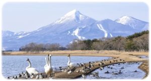 磐梯山と猪苗代湖イメージ